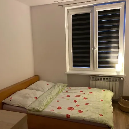 Apartament Centrum ギジツコ